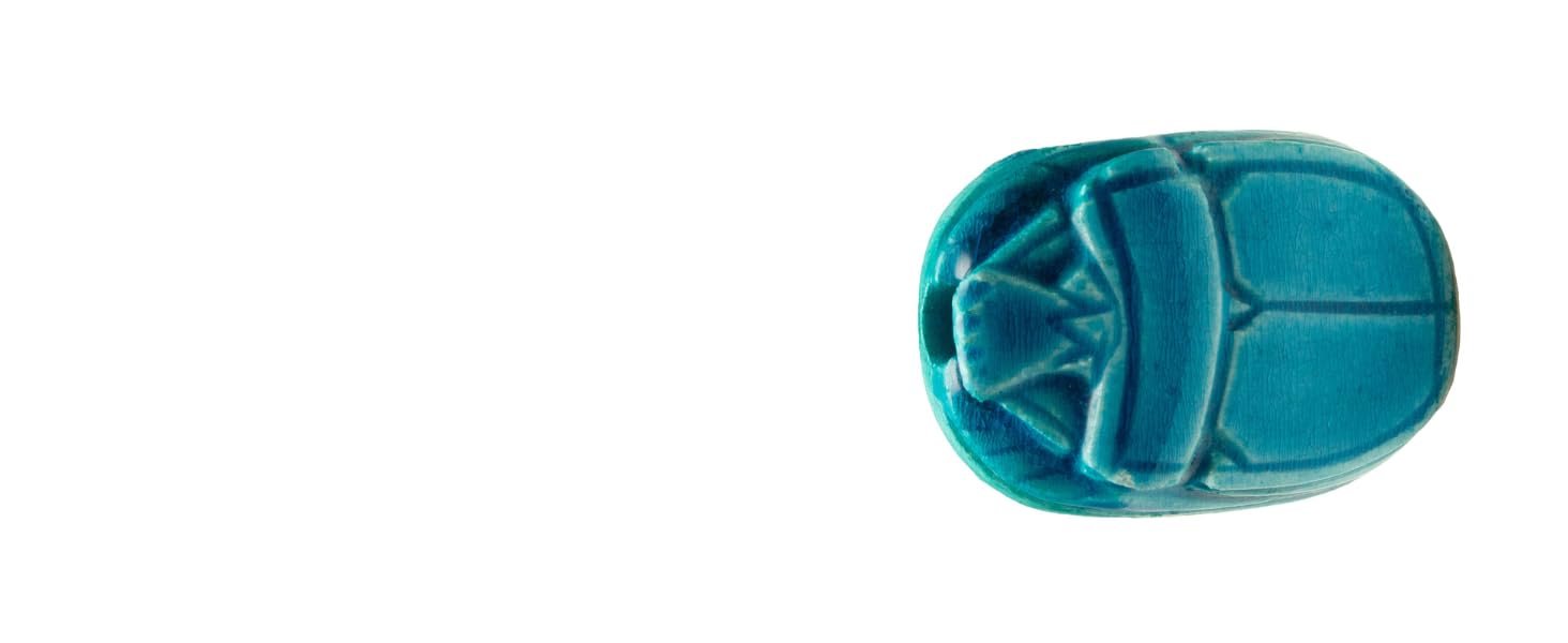81-1401BL Scarab Top view