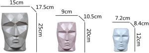 41CI0TBm7JL._AC Goodsright Decor Resin Face Flowerpot Geometric Headpiece Resin Handicraft Ornaments Home Furnishing Decoration Flower Vases Pots S