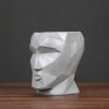 41JF3iHtU_L._AC Goodsright Decor Resin Face Flowerpot Geometric Headpiece Resin Handicraft Ornaments Home Furnishing Decoration Flower Vases Pots S
