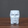 41ZHWvc54NL._AC Goodsright Decor Resin Face Flowerpot Geometric Headpiece Resin Handicraft Ornaments Home Furnishing Decoration Flower Vases Pots S
