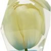 Goodsright Decor Eternal Flower Natural Tulip Preserved Flower in Resin | Resin Art Figurines (White)