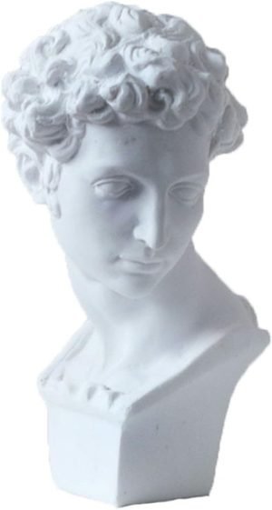 Goodsright Decor 11.8" Classic David Busts Statue Portrait Sculpture Resin Handicraft Home Decor