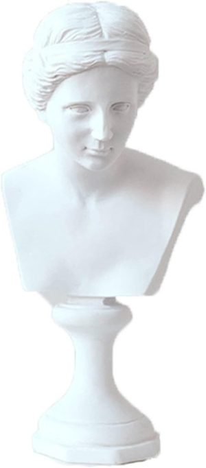 Goodsright Decor 11.8" Classic David Busts Statue Portrait Sculpture Resin Handicraft Home Decor