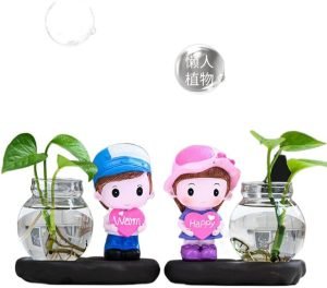 Goodsright Decor Creative Home Decoration Small Monk Decorations Living Room Flower Arrangement hydroponic Green Dill Glass vase Desk Knick-knacks Living Room Decoration Home