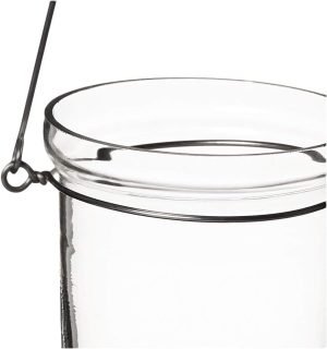 51U8uSenIhL._AC_SL1037 Goodsright Decor Hanging Votive Holders, Clear, Set of 24