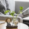 Goodsright Decor Green Radish hydroponic Flowerpot Utensils vase Transparent Glass Flower Arrangement Flower Living Room Desk Decoration Home Decoration Living Room Decoration Home