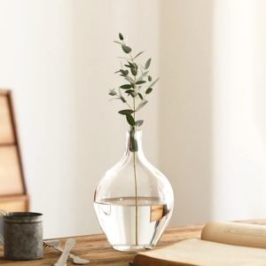 Goodsright Decor 11" Large Glass Vase for Decor,Clear Glass Vase for Plants Stems Branches,Glass Jug Vase for Home Decor,Shelf Decor,Mantel Decor,Medium(vase only)