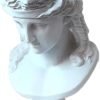 Goodsright Decor 11.8" Classic David Busts Statue Portrait Sculpture Resin Handicraft Home Decor