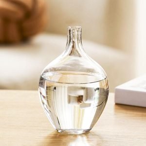 Goodsright Decor 11" Large Glass Vase for Decor,Clear Glass Vase for Plants Stems Branches,Glass Jug Vase for Home Decor,Shelf Decor,Mantel Decor,Medium(vase only)