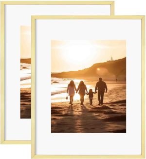 61-mKc0fRAL._AC_SL1500 Goodsright Decor 18x24 Aluminum Picture Frame Set of 2 - Displays Poster 16x20 with Mat or 18 x 24 without Mat, Black Metal Gallery Frame, Wall Horizontal or Vertical Display - Wall Hook Included