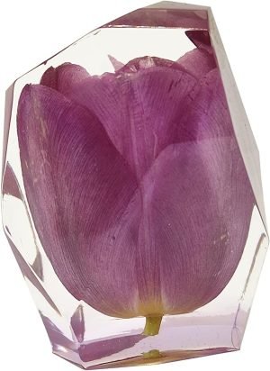Goodsright Decor Eternal Flower Natural Tulip Preserved Flower in Resin | Resin Art Figurines (White)