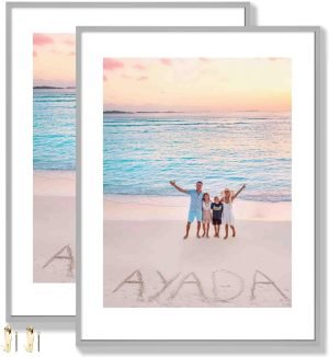 619ZEHu8cRL._AC_SL1500 Goodsright Decor 18x24 Aluminum Picture Frame Set of 2 - Displays Poster 16x20 with Mat or 18 x 24 without Mat, Black Metal Gallery Frame, Wall Horizontal or Vertical Display - Wall Hook Included