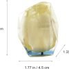 Goodsright Decor Eternal Flower Natural Tulip Preserved Flower in Resin | Resin Art Figurines (White)