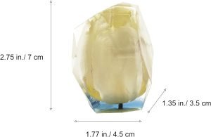 Goodsright Decor Eternal Flower Natural Tulip Preserved Flower in Resin | Resin Art Figurines (White)