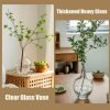 Goodsright Decor 11" Large Glass Vase for Decor,Clear Glass Vase for Plants Stems Branches,Glass Jug Vase for Home Decor,Shelf Decor,Mantel Decor,Medium(vase only)