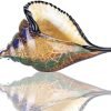 Goodsright Decor Glass Conch, Hand Blown Seashell Art Glass Figurine, Beautiful Home Decor, Crystal Glass Paperweight