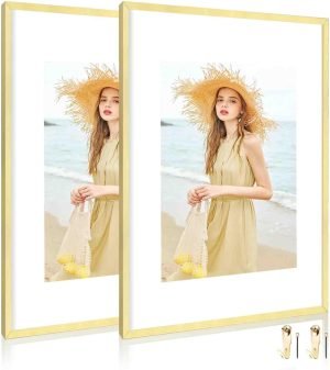 61azCCwWKgL._AC_SL1500 Goodsright Decor 18x24 Aluminum Picture Frame Set of 2 - Displays Poster 16x20 with Mat or 18 x 24 without Mat, Black Metal Gallery Frame, Wall Horizontal or Vertical Display - Wall Hook Included