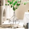 Goodsright Decor 11" Large Glass Vase for Decor,Clear Glass Vase for Plants Stems Branches,Glass Jug Vase for Home Decor,Shelf Decor,Mantel Decor,Medium(vase only)