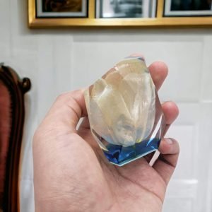 Goodsright Decor Eternal Flower Natural Tulip Preserved Flower in Resin | Resin Art Figurines (White)