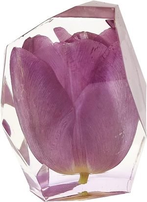 Goodsright Decor Eternal Flower Natural Tulip Preserved Flower in Resin | Resin Art Figurines (White)