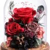 Goodsright Decor Flowers for Delivery Prime Preserved Rose Gifts for Women,Long-Lasting Real Flowers in Glass Dome,Valentine Day Mothers Day Birthday Gifts for Women Mom Friend(Purple Rose)