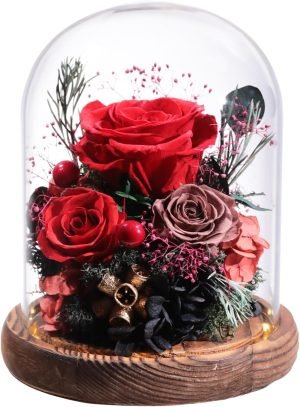 Goodsright Decor Flowers for Delivery Prime Preserved Rose Gifts for Women,Long-Lasting Real Flowers in Glass Dome,Valentine Day Mothers Day Birthday Gifts for Women Mom Friend(Purple Rose)