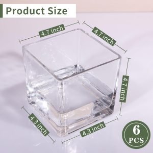 Goodsright Decor 6 Pack Square Glass Vases 5 x 5 x 5 Inch, Clear Cube Flower Vases for Centerpieces, Candle Holders for Wedding Party Home Decor