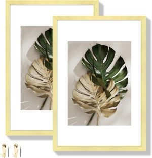 714jtPSwEpL._AC_SL1500 Goodsright Decor 18x24 Aluminum Picture Frame Set of 2 - Displays Poster 16x20 with Mat or 18 x 24 without Mat, Black Metal Gallery Frame, Wall Horizontal or Vertical Display - Wall Hook Included