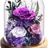Goodsright Decor Flowers for Delivery Prime Preserved Rose Gifts for Women,Long-Lasting Real Flowers in Glass Dome,Valentine Day Mothers Day Birthday Gifts for Women Mom Friend(Purple Rose)