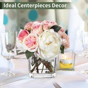 Goodsright Decor 6 Pack Square Glass Vases 5 x 5 x 5 Inch, Clear Cube Flower Vases for Centerpieces, Candle Holders for Wedding Party Home Decor