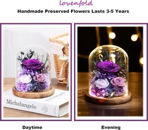 Goodsright Decor Flowers for Delivery Prime Preserved Rose Gifts for Women,Long-Lasting Real Flowers in Glass Dome,Valentine Day Mothers Day Birthday Gifts for Women Mom Friend(Purple Rose)