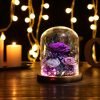 Goodsright Decor Flowers for Delivery Prime Preserved Rose Gifts for Women,Long-Lasting Real Flowers in Glass Dome,Valentine Day Mothers Day Birthday Gifts for Women Mom Friend(Purple Rose)
