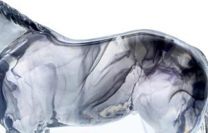 71KYzQ6wtML._AC_SL1500 Goodsright Decor Art Standing Horse Statue Figurines Sculpture Home Office Decoration Tabletop Decor Ornaments Gifts for Horse Lovers