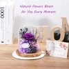 Goodsright Decor Flowers for Delivery Prime Preserved Rose Gifts for Women,Long-Lasting Real Flowers in Glass Dome,Valentine Day Mothers Day Birthday Gifts for Women Mom Friend(Purple Rose)
