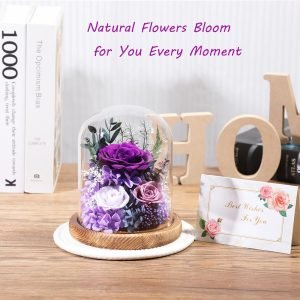 Goodsright Decor Flowers for Delivery Prime Preserved Rose Gifts for Women,Long-Lasting Real Flowers in Glass Dome,Valentine Day Mothers Day Birthday Gifts for Women Mom Friend(Purple Rose)