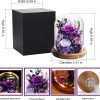 Goodsright Decor Flowers for Delivery Prime Preserved Rose Gifts for Women,Long-Lasting Real Flowers in Glass Dome,Valentine Day Mothers Day Birthday Gifts for Women Mom Friend(Purple Rose)
