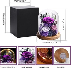 Goodsright Decor Flowers for Delivery Prime Preserved Rose Gifts for Women,Long-Lasting Real Flowers in Glass Dome,Valentine Day Mothers Day Birthday Gifts for Women Mom Friend(Purple Rose)