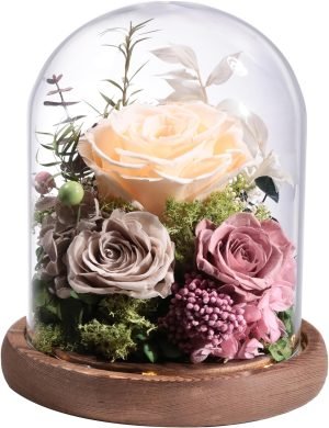 Goodsright Decor Flowers for Delivery Prime Preserved Rose Gifts for Women,Long-Lasting Real Flowers in Glass Dome,Valentine Day Mothers Day Birthday Gifts for Women Mom Friend(Purple Rose)