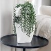 Goodsright Decor Luxurious 10.5" Matte White Ceramic Face Vase Set, with 4 Artificial Succulent Hanging Plant Stems Modern Nuetral Decor Living Room Home Office Bookshelf Decorations Head Vase with Faux Hanging Stems