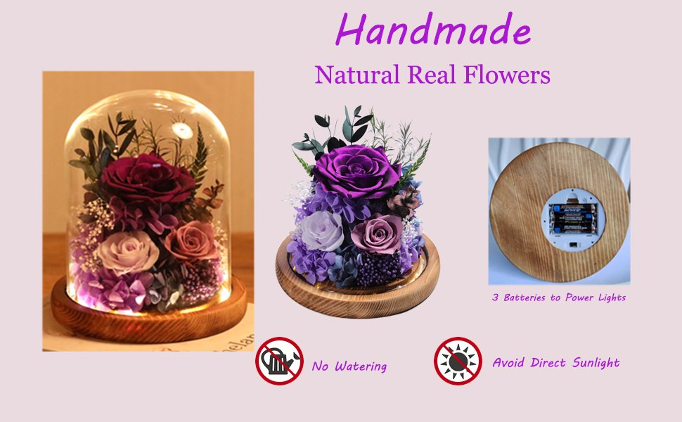 glass rose eternal rose rose in glass dome